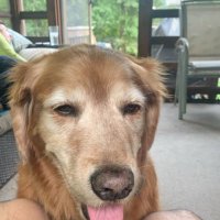 Jake Antonucci (@jakenooch) 's Twitter Profile