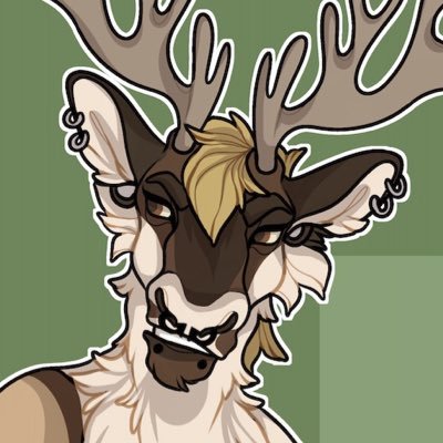 ratkingcurse's profile picture. what’s ur fav kinda mushrooms mine are oysters 🦪😊🍄 Birch/Boone, He/Him Trans Queer, 20 (18+ pls)