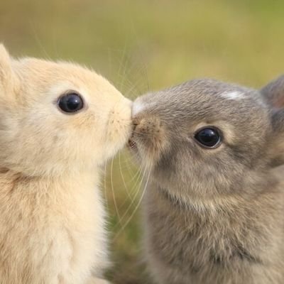 starnight923's profile picture. 각종 정보 이야기