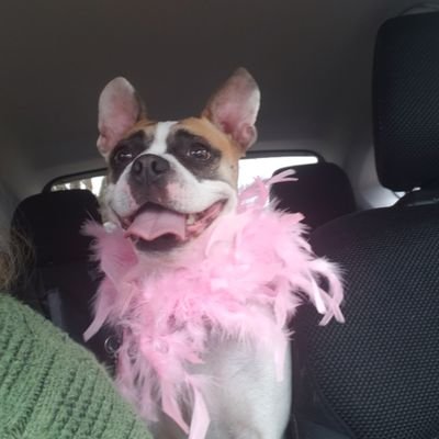 ProchoiceSW76WV's profile picture. 