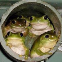 Kevin Schmidt (@kevinjsch) 's Twitter Profile