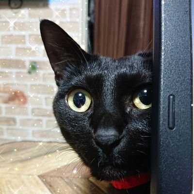 無言フォロー失礼しますm(__)m生まれも育ちも福井県!!非農家出身ですが農家として独立するための日々つぶやきます。家庭菜園レベルのド素人が農家になるために奮闘開始!!「農家の嫁」ではなく「農家の娘」でもなく・・・「農家な嫁」になります!!農業のこと、農家のこと、野菜のことなど、いろいろ知りたい📝👓️