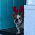 Not a Snowflake (@notasnowfkake) Twitter profile photo Not a Snowflake (@notasnowfkake) Twitter profile photo