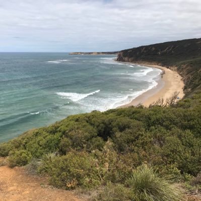 Associate Professor, Director of Undergraduate Studies, School of Nursing and Midwifery @Deakin PhD, RN, ICU. Activating patients using multimedia @DeakinQPS