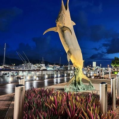 Cairns Photos. Cairns, Australia