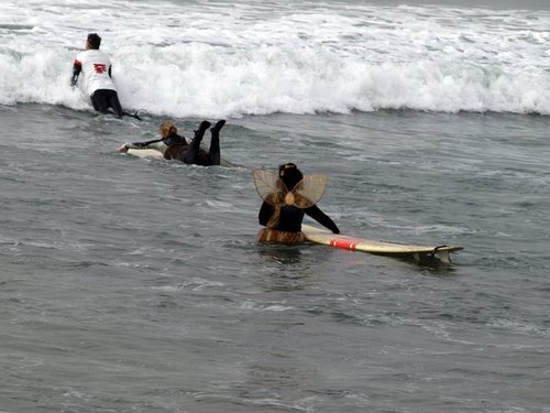 LaurieHamblin's profile picture. 