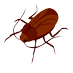 Giant Roach King ⁉️ (@nightmareinsect) Twitter profile photo Giant Roach King ⁉️ (@nightmareinsect) Twitter profile photo