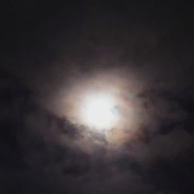 akatuki0005's profile picture. 