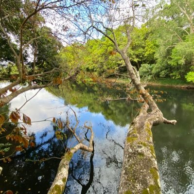 blopblipblam's profile picture. global citizen, nature worshipper, procrastinator