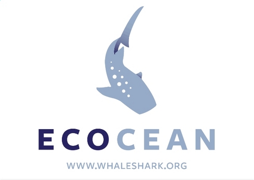 Follow ECOCEAN's whale shark research and conservation happenings and learn more about the biggest fish in the sea!