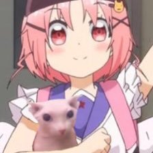 22 ❃ autistic ❃ using all the pronouns ❃ bingus enthusiast ❃ listener of music ❃