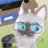 栗林 猫助のアイコン