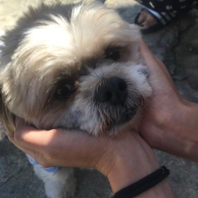 yatchdepon's profile picture. Hi 👾