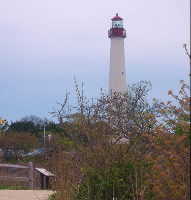 artprintseller's profile picture. Take a look!!