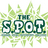 MalvernSPOT's profile image