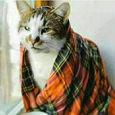 Angga42961502's profile picture. dibawa enjoy aja