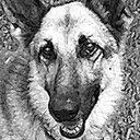 Helen Clancy Olin - @ripleyfeed - Twitter