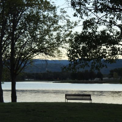 tiggerssister's profile picture. 