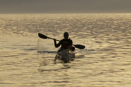 ExpeditionerWT's profile picture. 