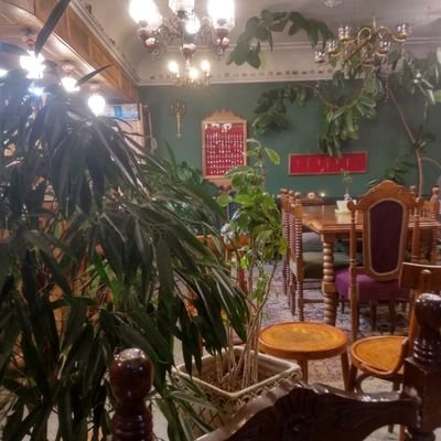 moghadasihamid's profile picture. 