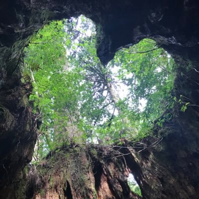 szRHrsUM7AWJDiY's profile picture. 浪人