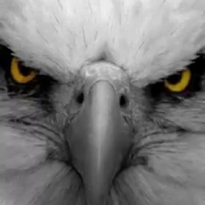 kaze2005's profile picture. no sigo políticos por que todos trabajan para el mismo jefe, #ChileDigno #rechazode todaslasmaneras  #elrechazocrece si usas bozal no te molestes en seguirme.