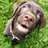 kidwe11's profile image