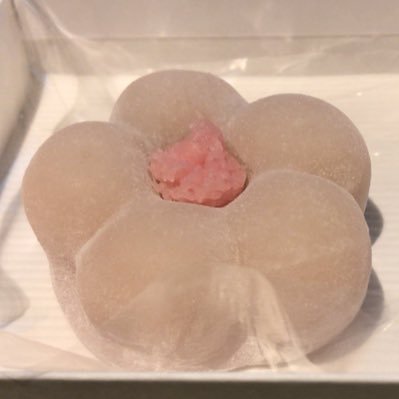 gJTra4wpPNZqYAm's profile picture. おただだよ！！スマホ機種変したらTwitterのアカウント死んじゃったよ。悲しいね。