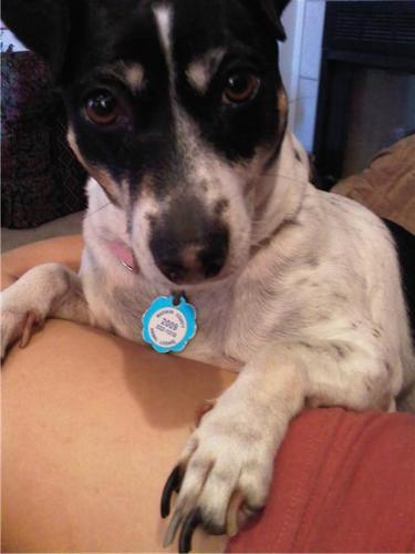 bamcewen's profile picture. 