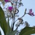 lecona72@hotmail.com (@lecona72) Twitter profile photo lecona72@hotmail.com (@lecona72) Twitter profile photo