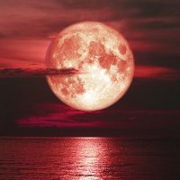Captainmoon (@captainmoon8) 's Twitter Profile