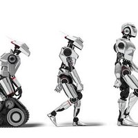 Çılgın Çavdar Başağı (@fcbcavdar) 's Twitter Profile