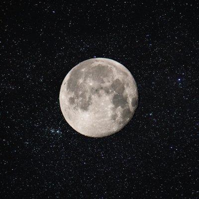 MohammedFAsmari's profile picture. Medical Intern | King Khalid University