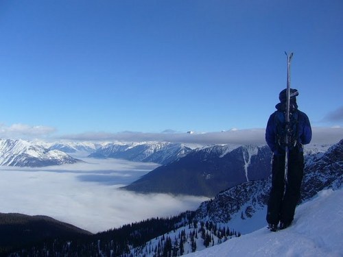 thedormanator's profile picture. 