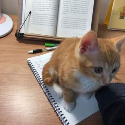 nameserver123's profile picture. 트정하고 관리 안 하는 중...