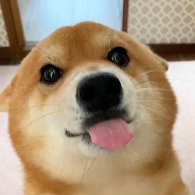 toou13's profile picture. S.F.F.L