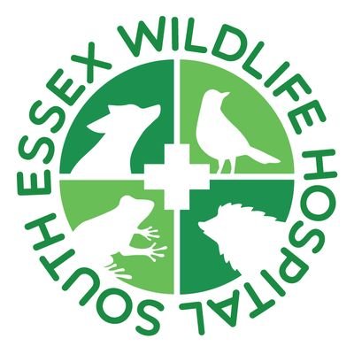 Dedicated to putting “life” back into the “wild”, SEWH provides wildlife rescue & rehabilitation IG- @southessexwildlife FB- South Essex Wildlife Hospital