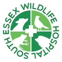 South Essex Wildlife Hospital(@SEWH) 's Twitter Profileg
