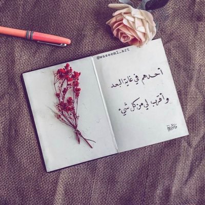عاشقة الخيل والهلال وفلان💘💙🐎