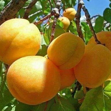 Tanha24532928's profile picture. s