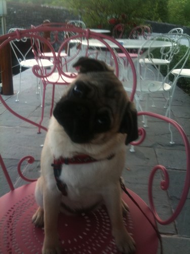 PiranhaUK's profile picture. Jon Arden