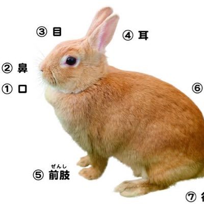 しゅんんんさんのプロフィール画像