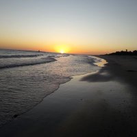 Rafael avero (@rafaelavero4) 's Twitter Profile