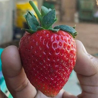 Anon16333362's profile picture. ด้อยโอกาสทางเพศ