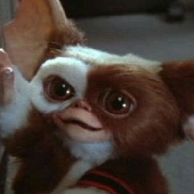 LinLin92832217's profile picture. いくつになってもPUNKが好き❤
LIVEが好き❤