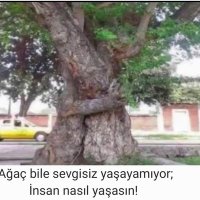 Cemil A.Hatipoğlu (@cemilhatipolu3) Twitter profile photo