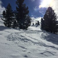 Max Musterbürger (@tirolerbua2) 's Twitter Profile