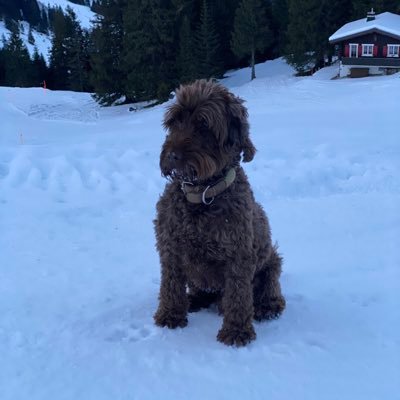 dominic74082441's profile picture. Interested