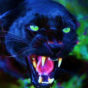 PantherLycan's profile picture. Yes I'm an actual panther. Not in a furry way tho. I didn't want to make this but my friends are holding me at gunpoint so whatever.
