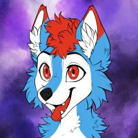 Nesko Husky(@NeskoHusky) 's Twitter Profile Photo